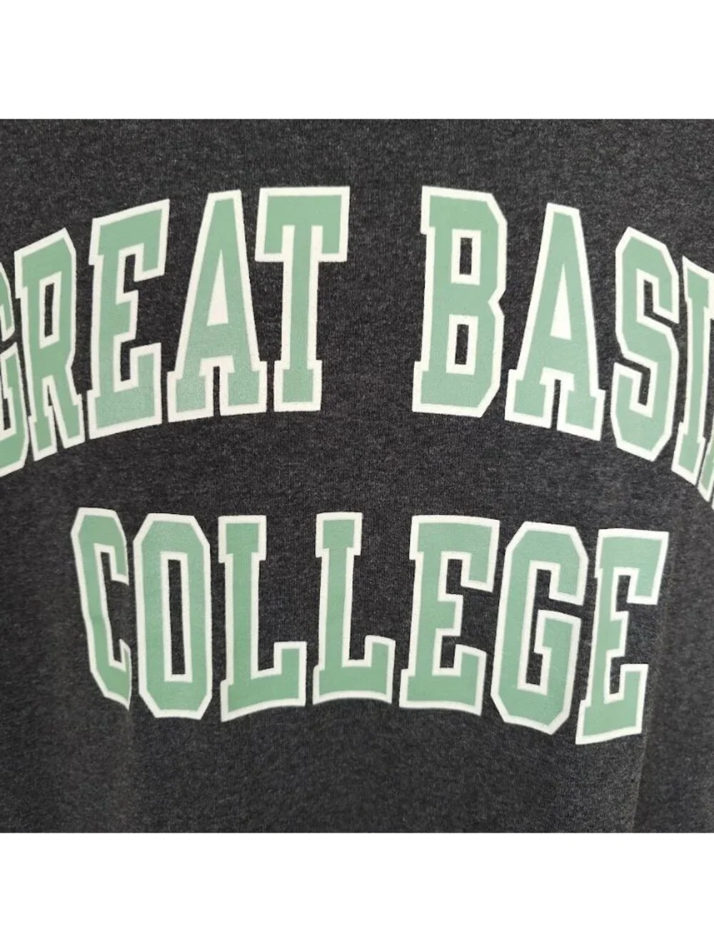 Great Basin College T Shirt Mens Size Large Gray Big Horn Sheep Nevada GBC - Picture 3 of 7